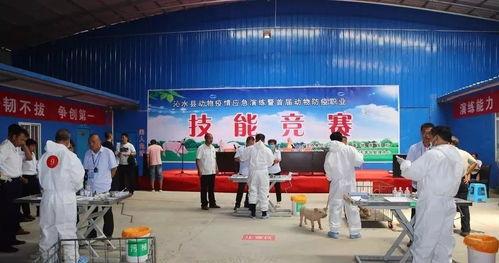 资阳富豪爆料新闻现场图片,揭秘巨额财富背后的真相  第1张